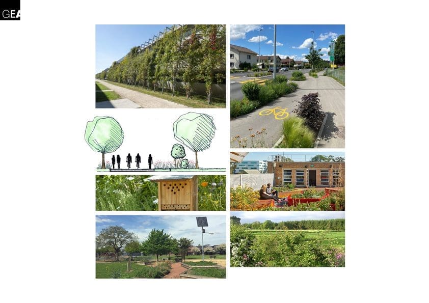 Exemples d'aménagement pour des ilots de fraicheur et en faveur de la biodiversité